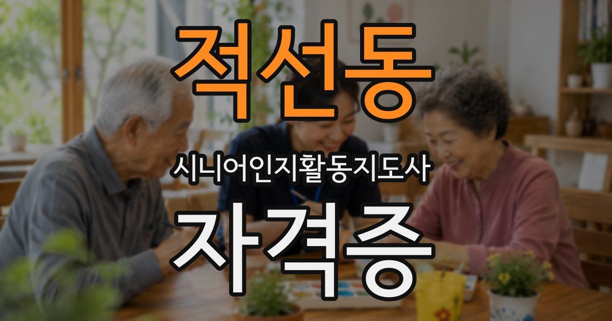 적선동 시니어인지활동지도사 자격증