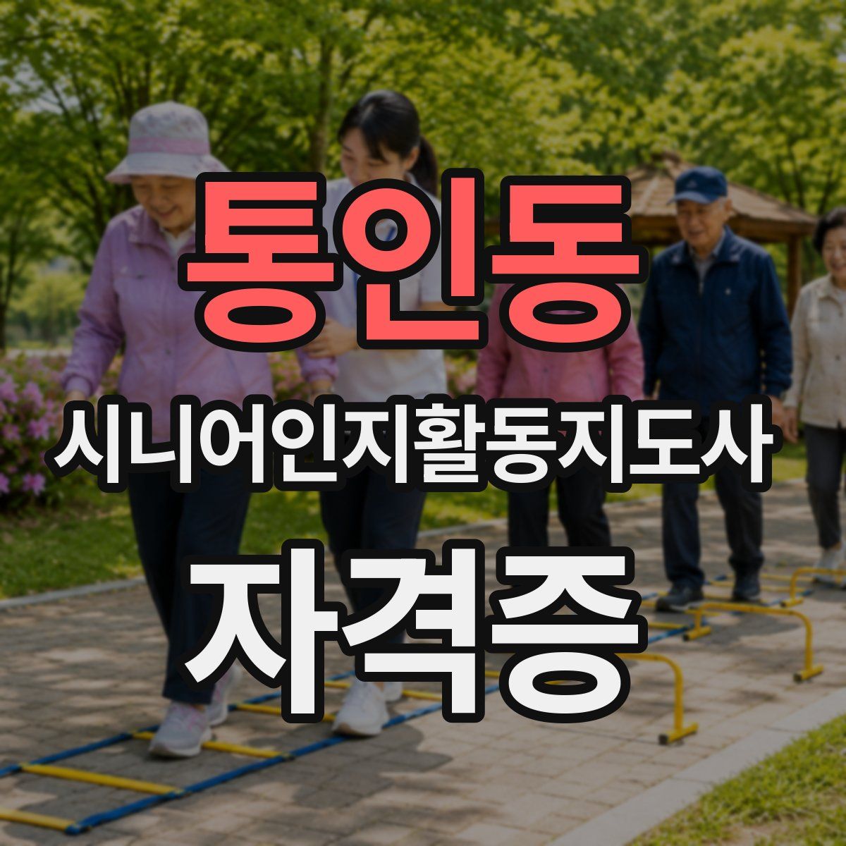 통인동 시니어인지활동지도사 자격증
