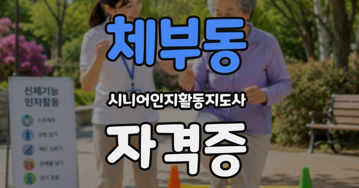 체부동 시니어인지활동지도사 자격증