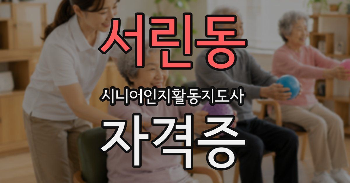 서린동 시니어인지활동지도사 자격증