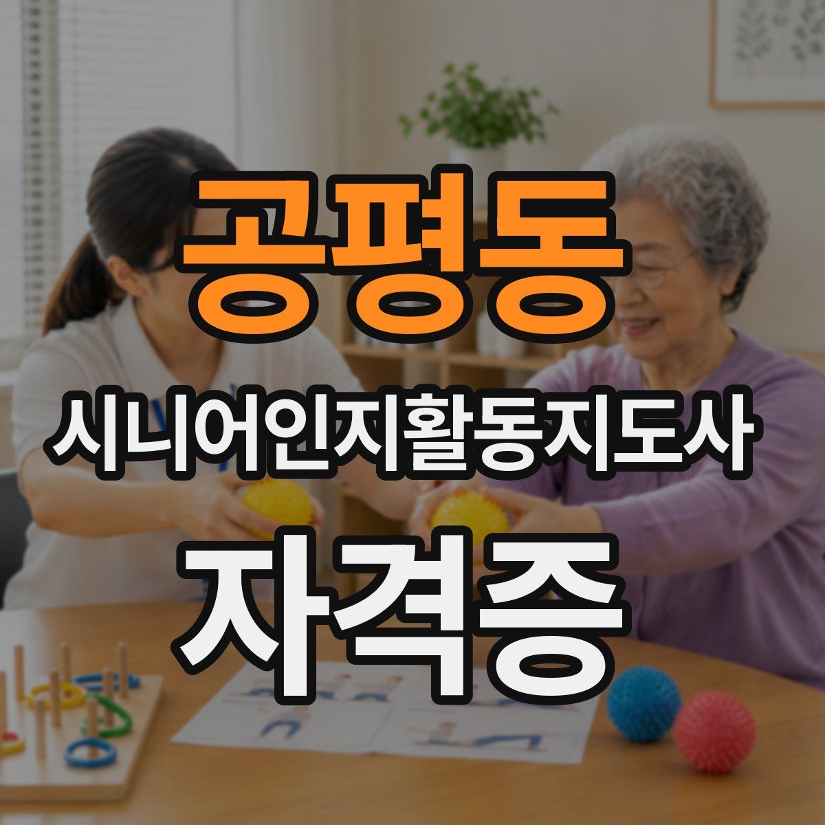 공평동 시니어인지활동지도사 자격증