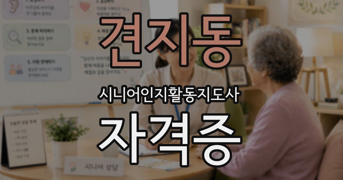 견지동 시니어인지활동지도사 자격증