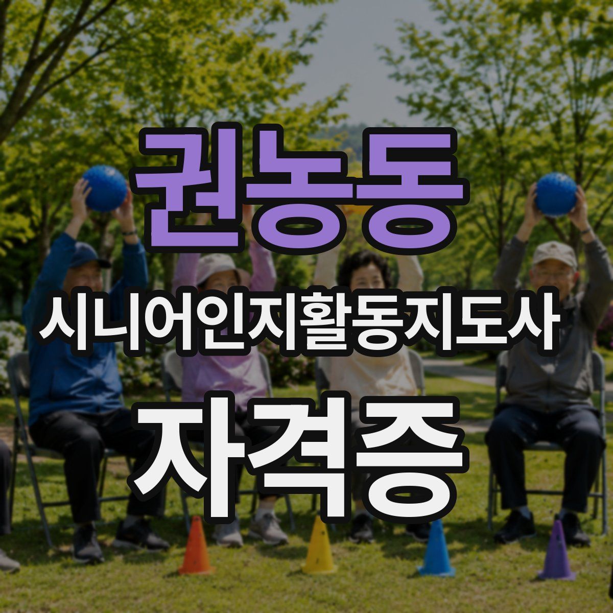 권농동 시니어인지활동지도사 자격증