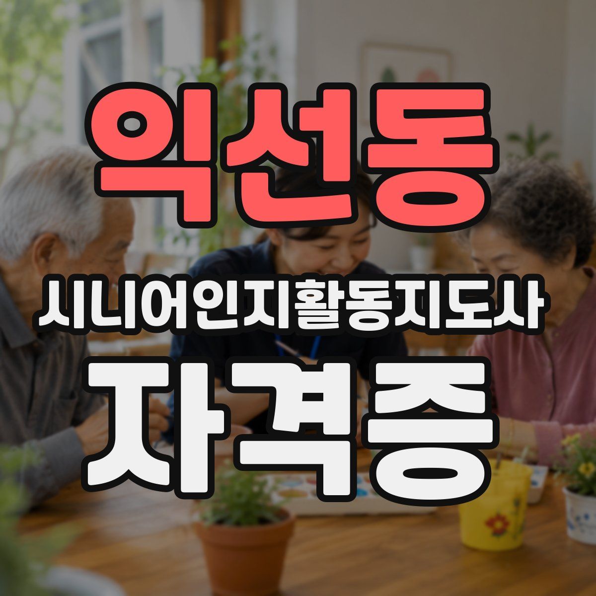 익선동 시니어인지활동지도사 자격증