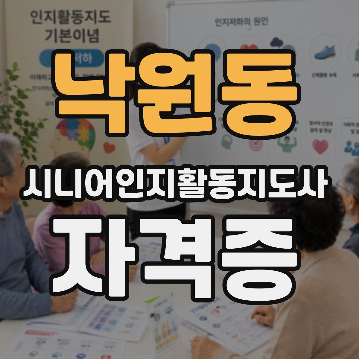 낙원동 시니어인지활동지도사 자격증