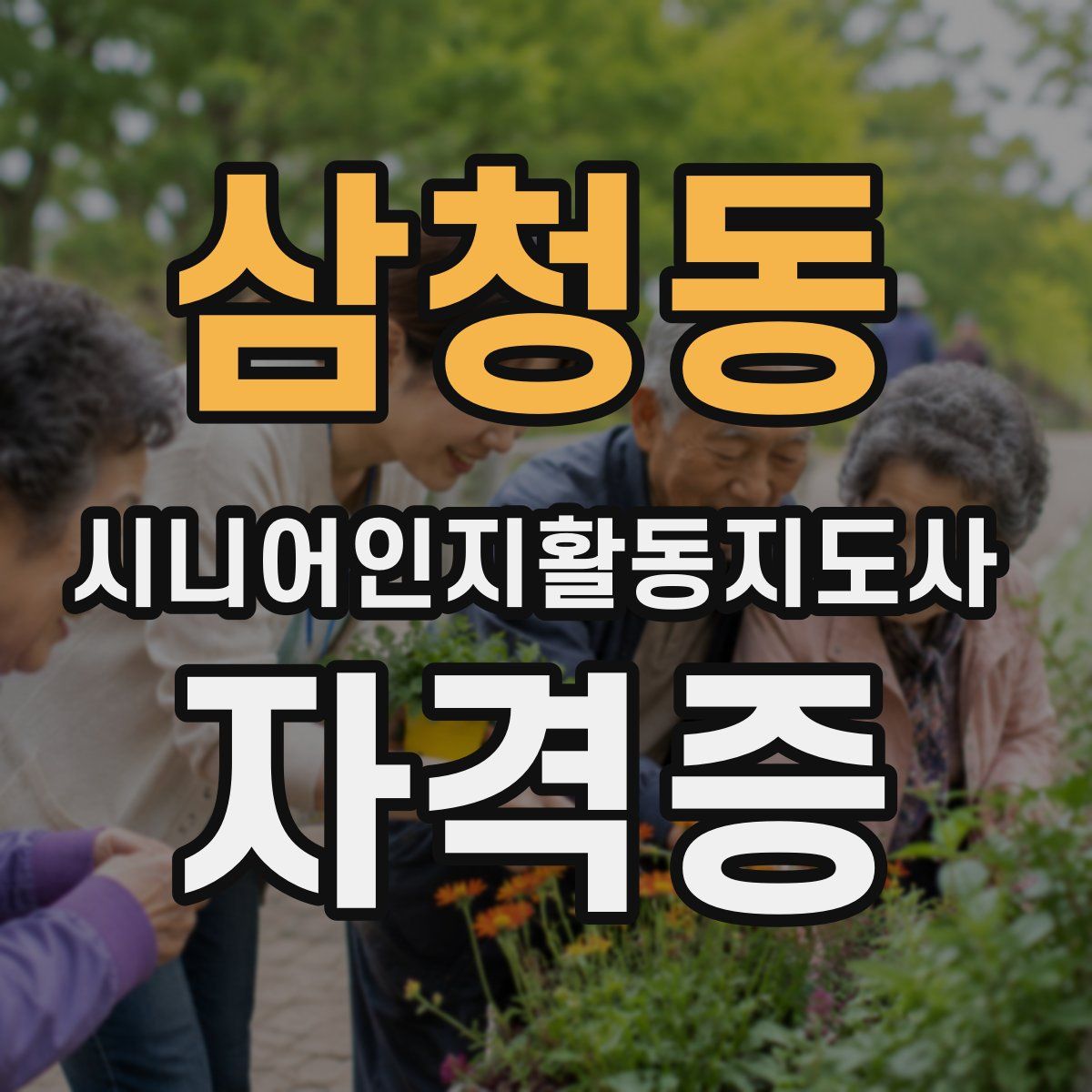 삼청동 시니어인지활동지도사 자격증
