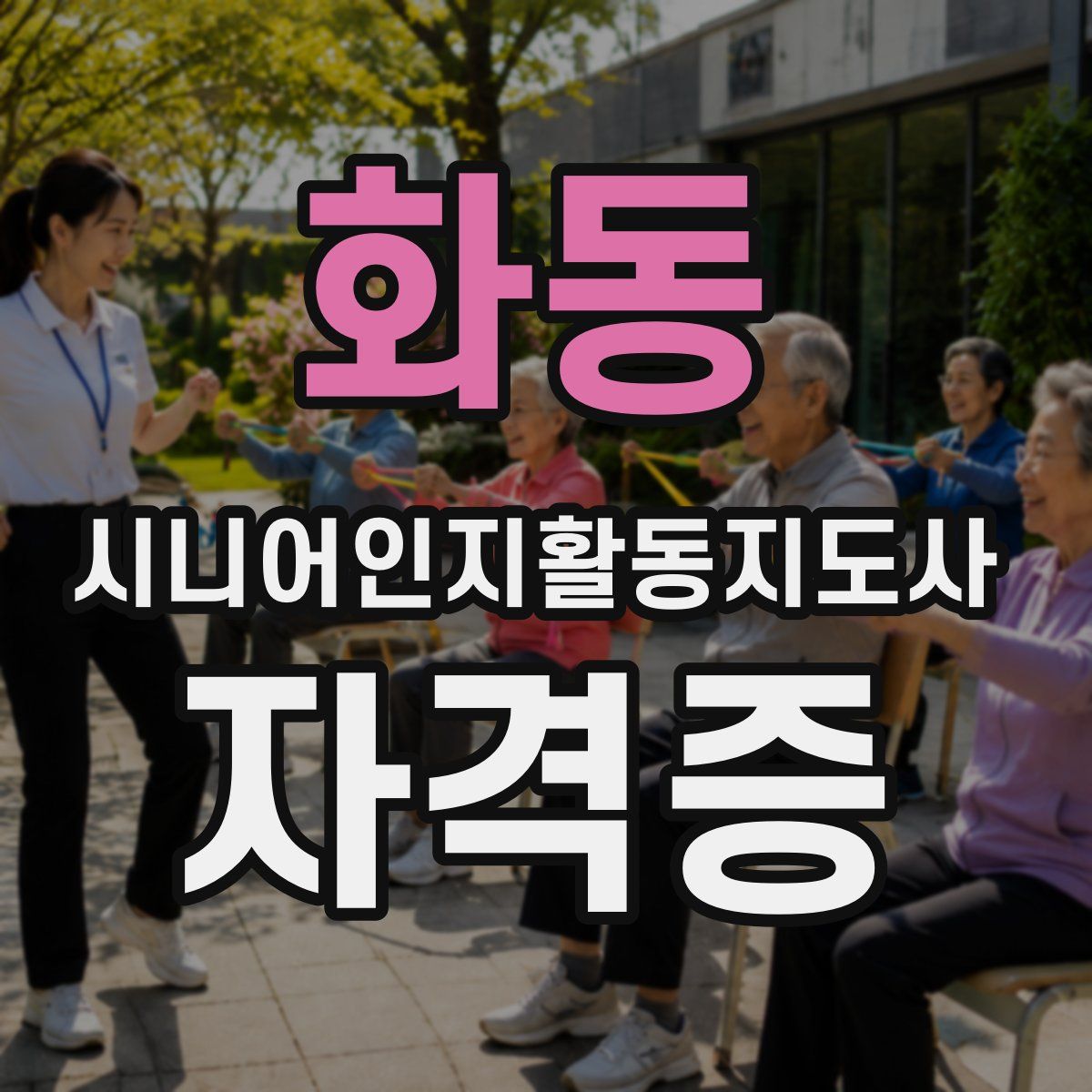 화동 시니어인지활동지도사 자격증
