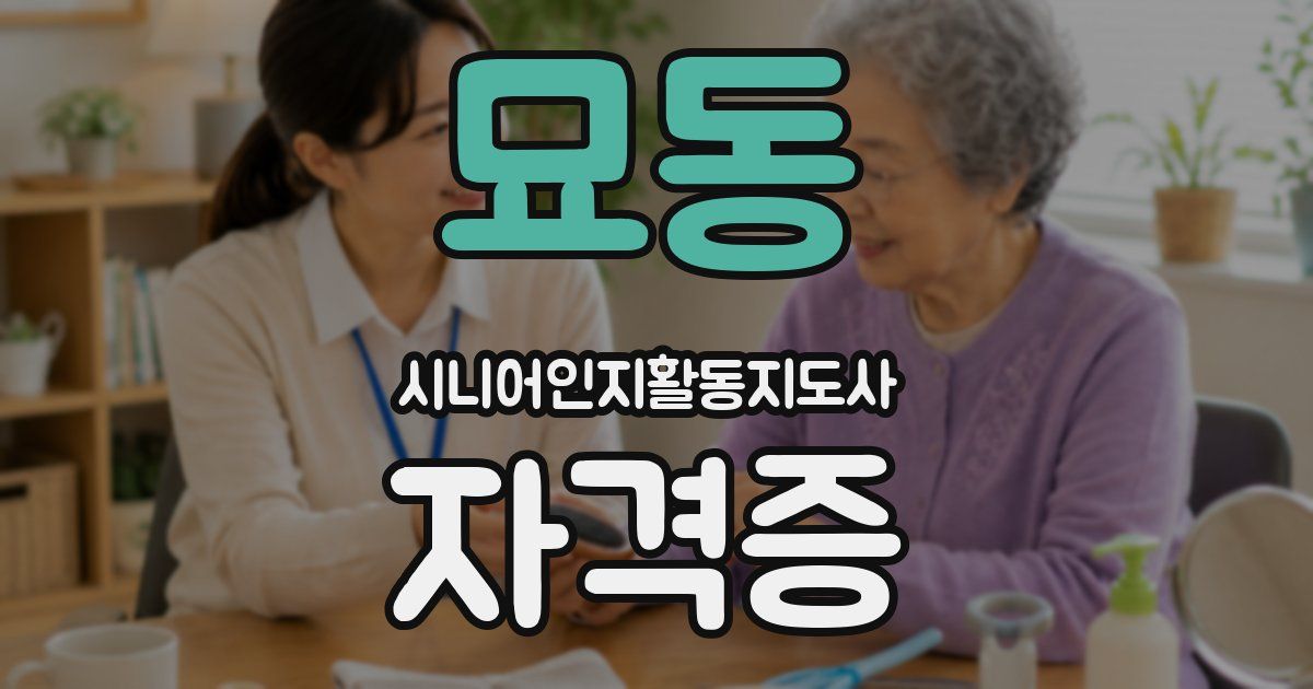 묘동 시니어인지활동지도사 자격증