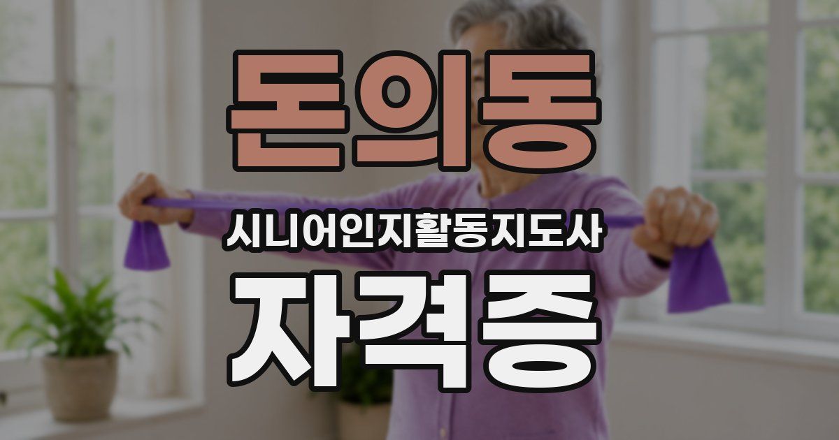 돈의동 시니어인지활동지도사 자격증