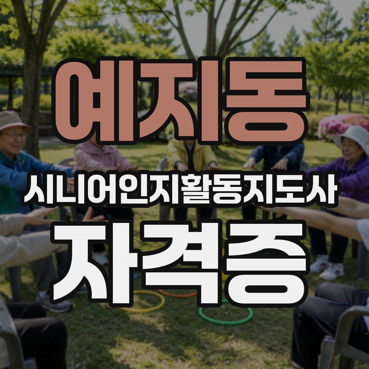 예지동 시니어인지활동지도사 자격증