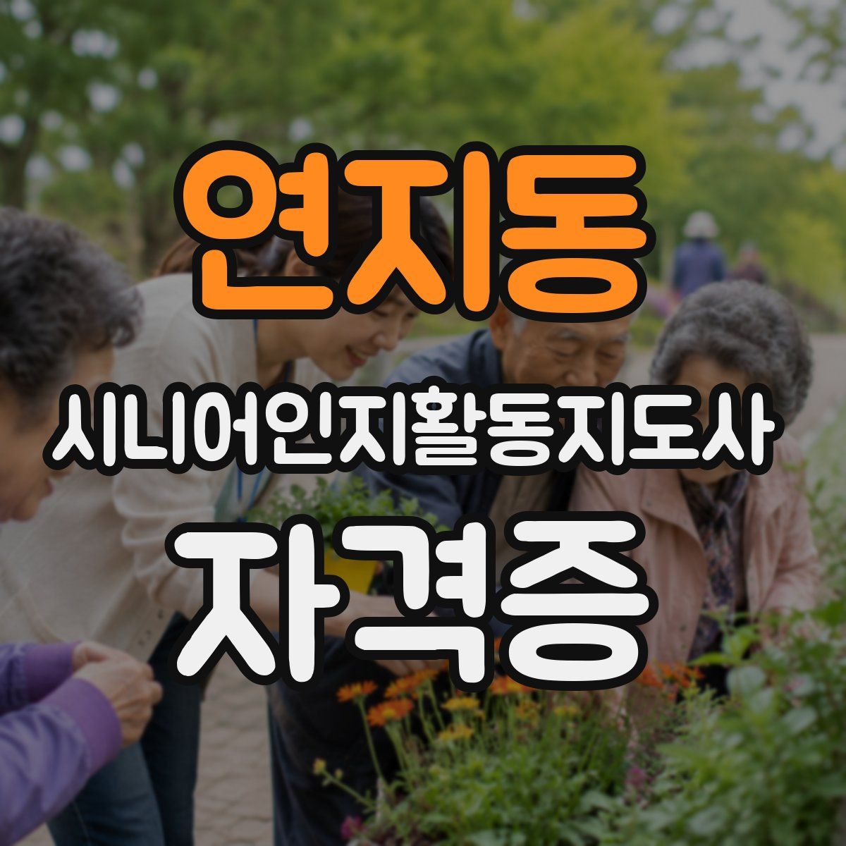 연지동 시니어인지활동지도사 자격증