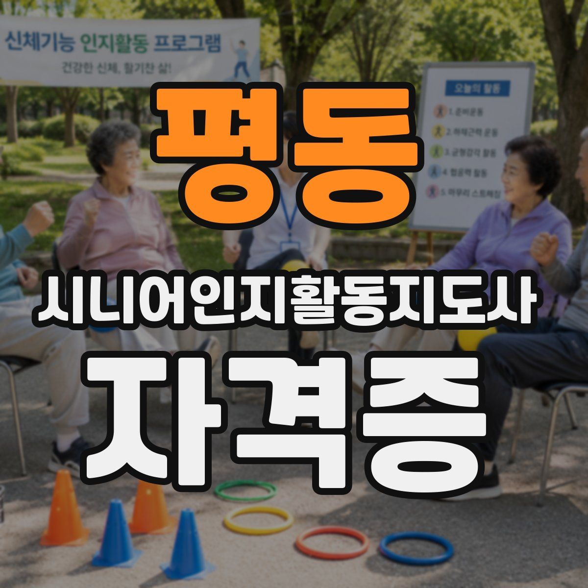 평동 시니어인지활동지도사 자격증