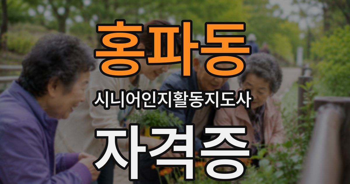 홍파동 시니어인지활동지도사 자격증