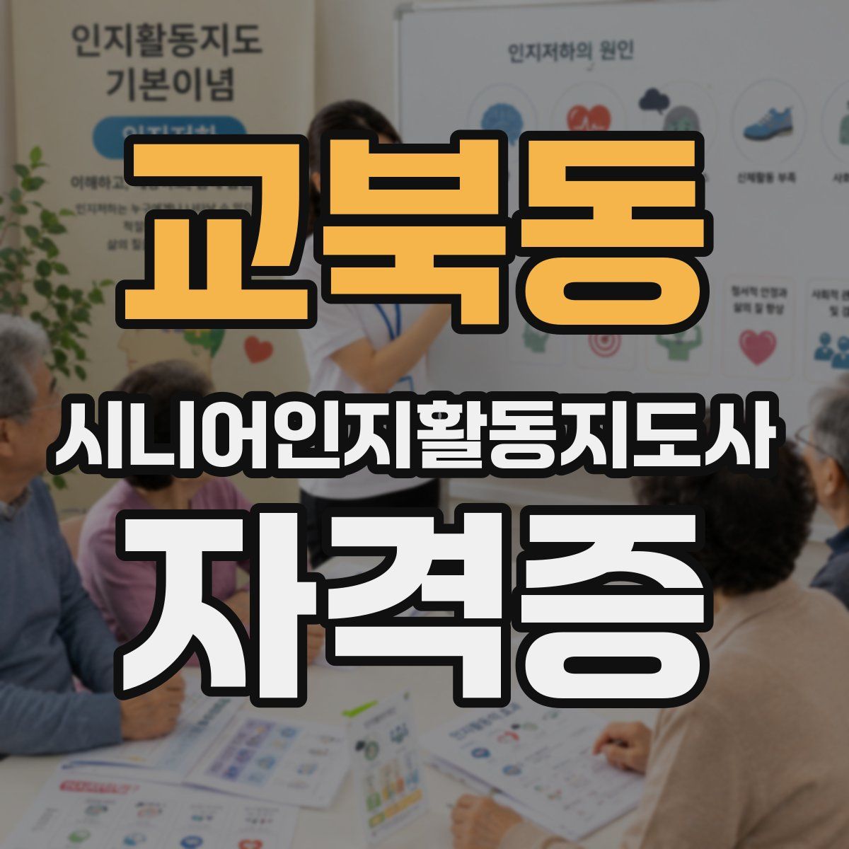 교북동 시니어인지활동지도사 자격증