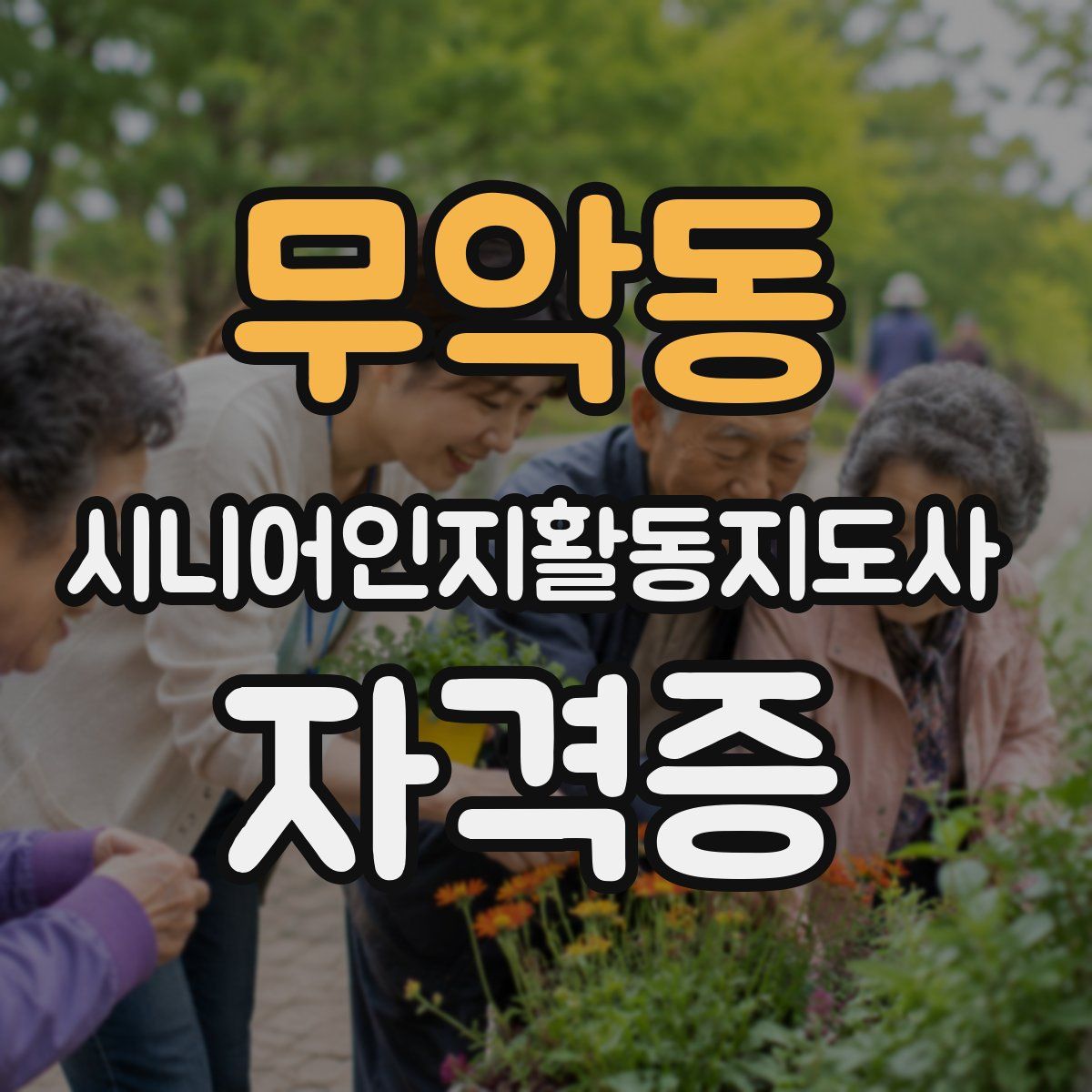 무악동 시니어인지활동지도사 자격증