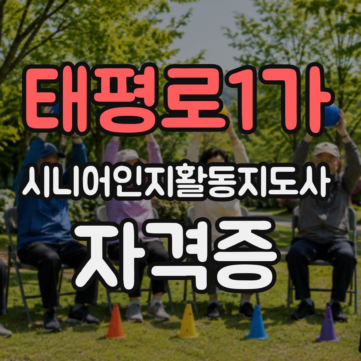 태평로1가 시니어인지활동지도사 자격증