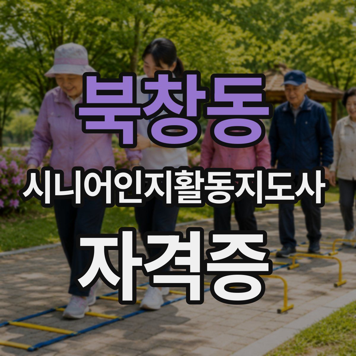 북창동 시니어인지활동지도사 자격증