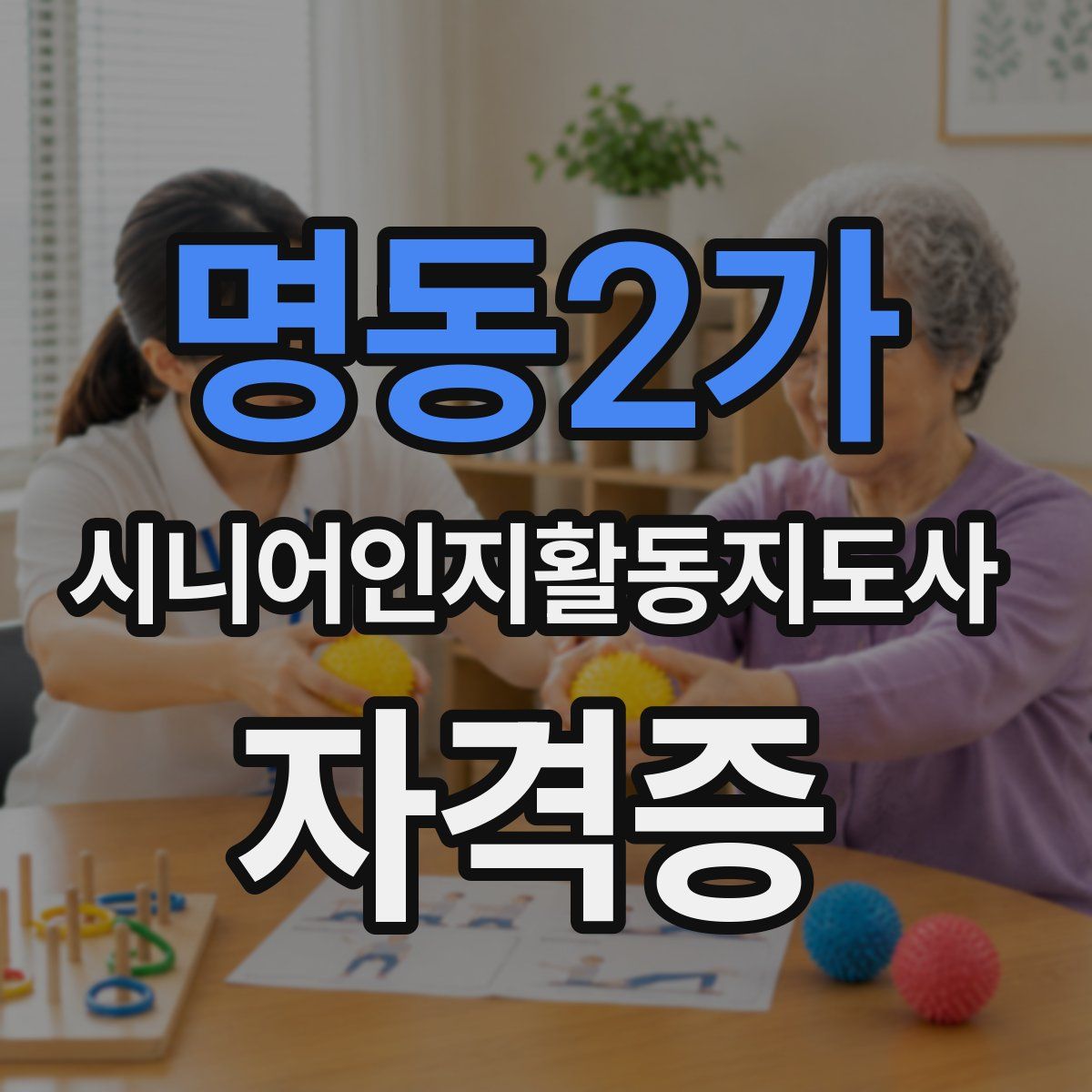 명동2가 시니어인지활동지도사 자격증