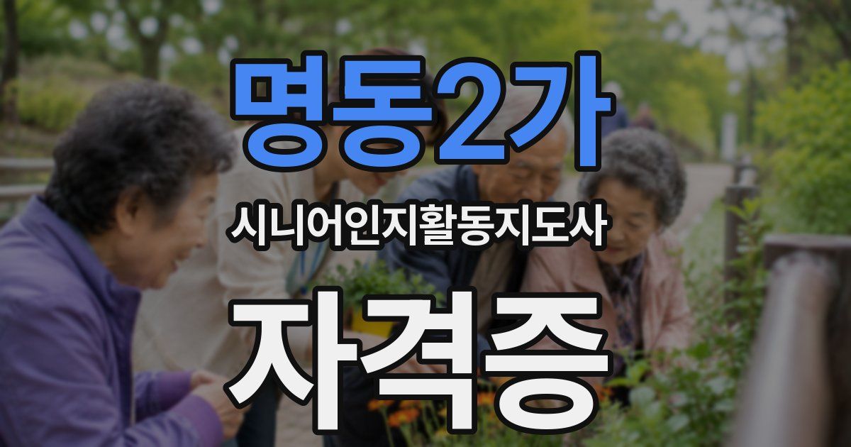 명동2가 시니어인지활동지도사 자격증