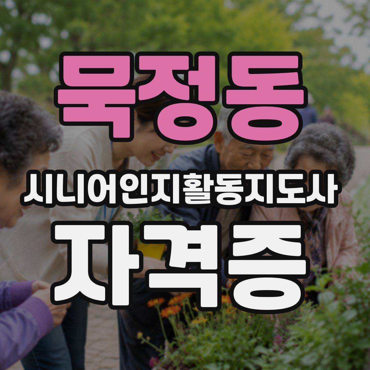 묵정동 시니어인지활동지도사 자격증