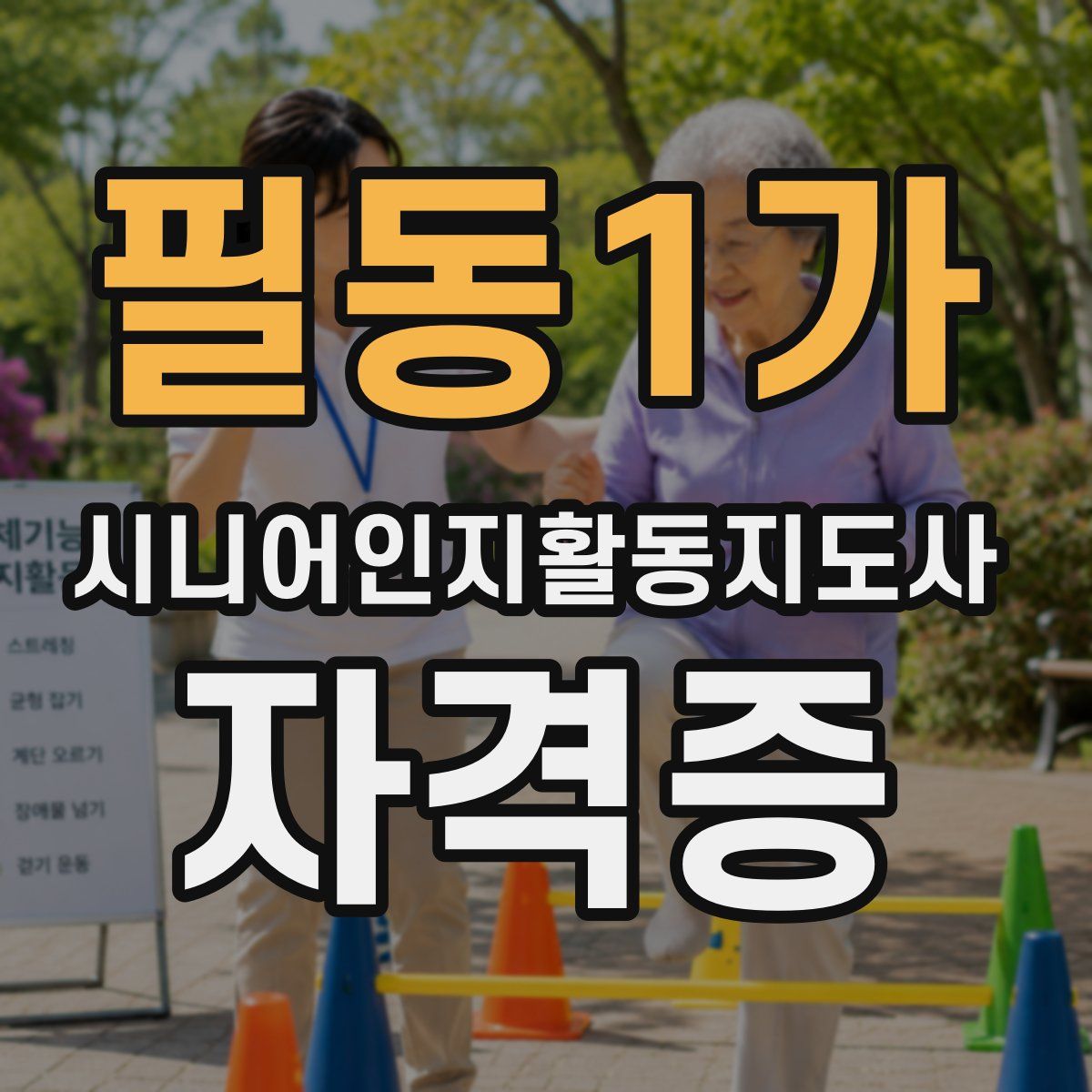 필동1가 시니어인지활동지도사 자격증