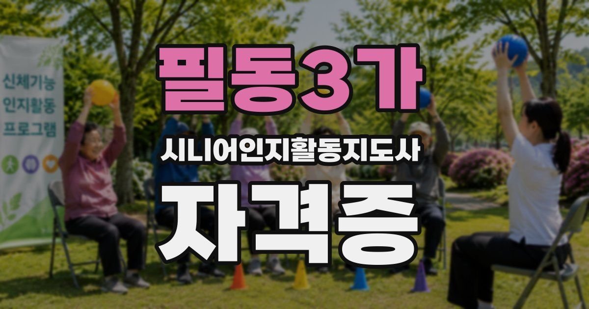 필동3가 시니어인지활동지도사 자격증