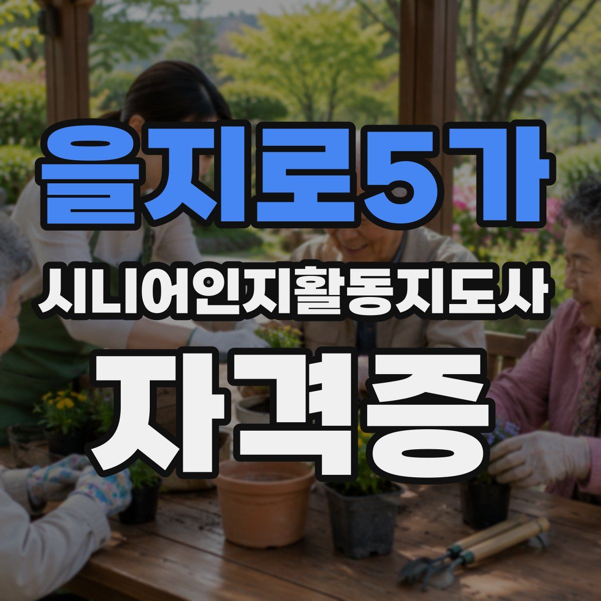 을지로5가 시니어인지활동지도사 자격증