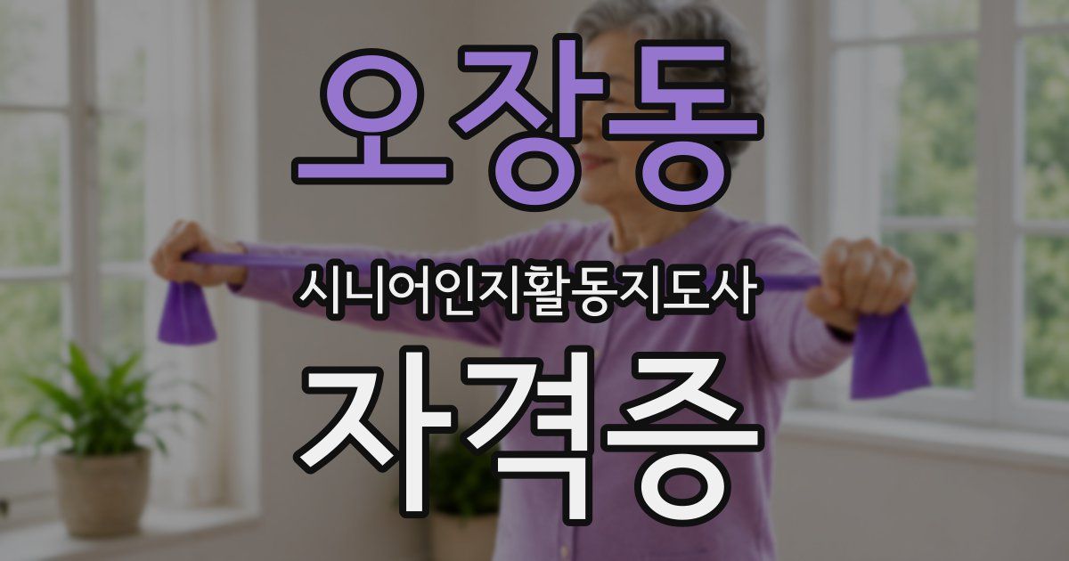 오장동 시니어인지활동지도사 자격증