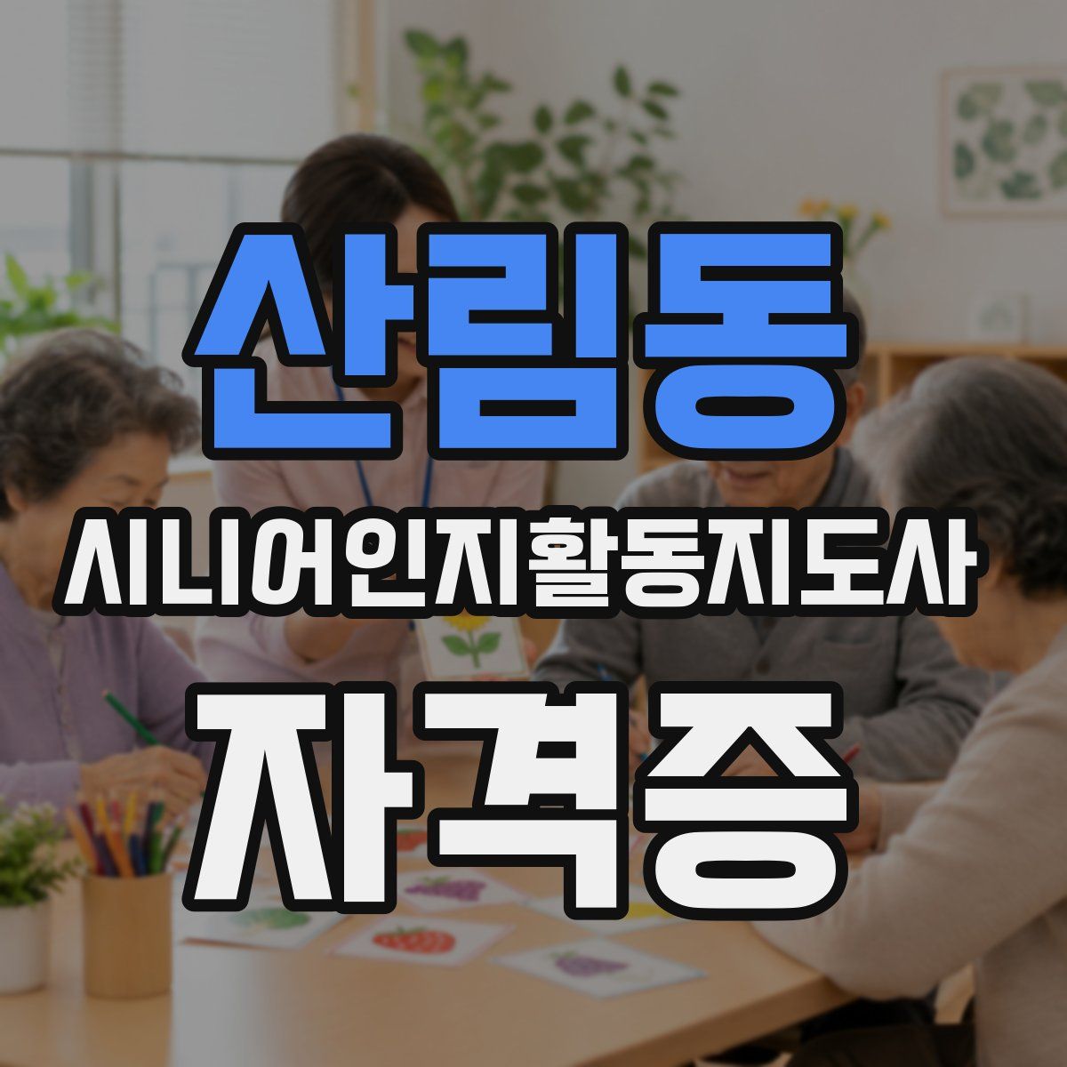 산림동 시니어인지활동지도사 자격증