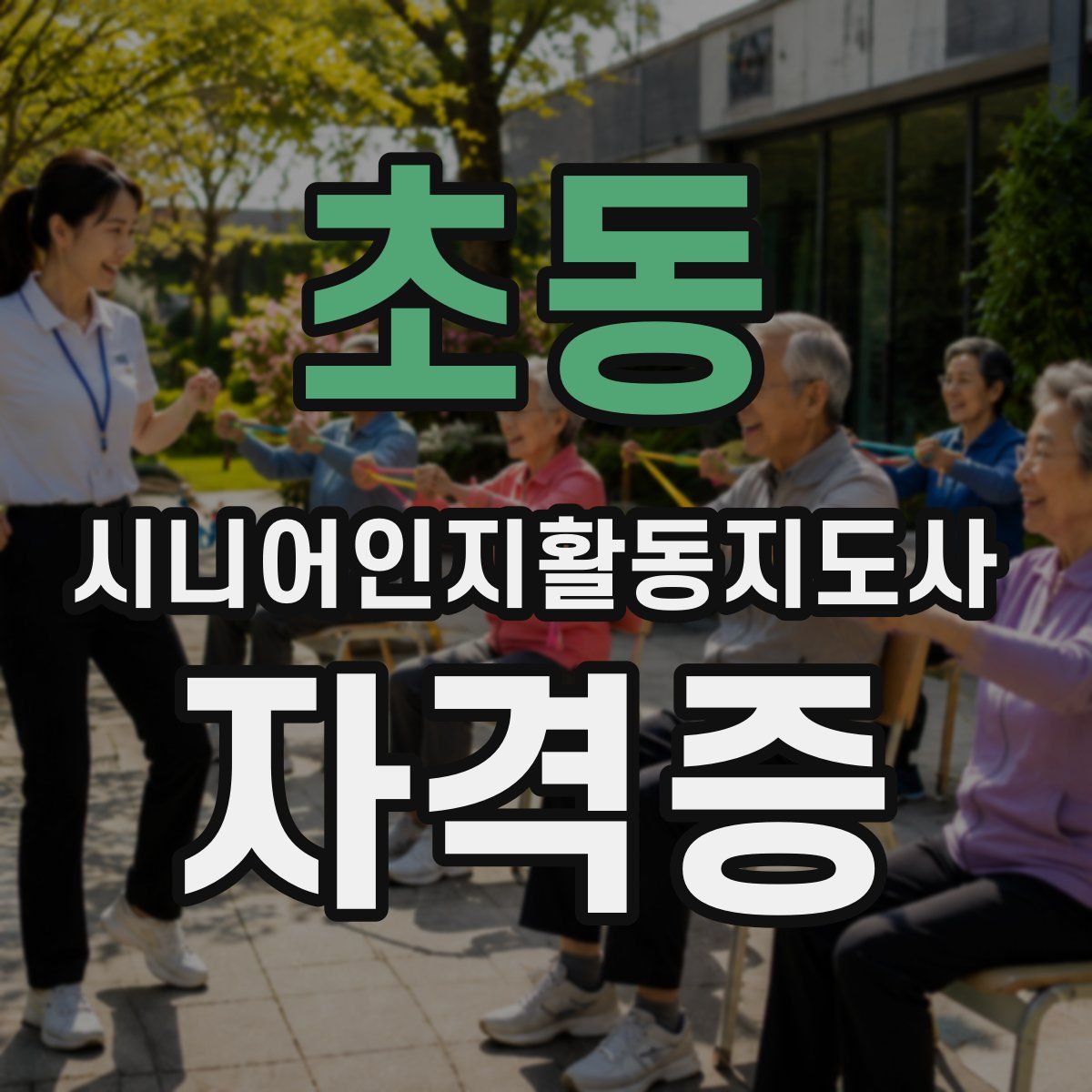초동 시니어인지활동지도사 자격증