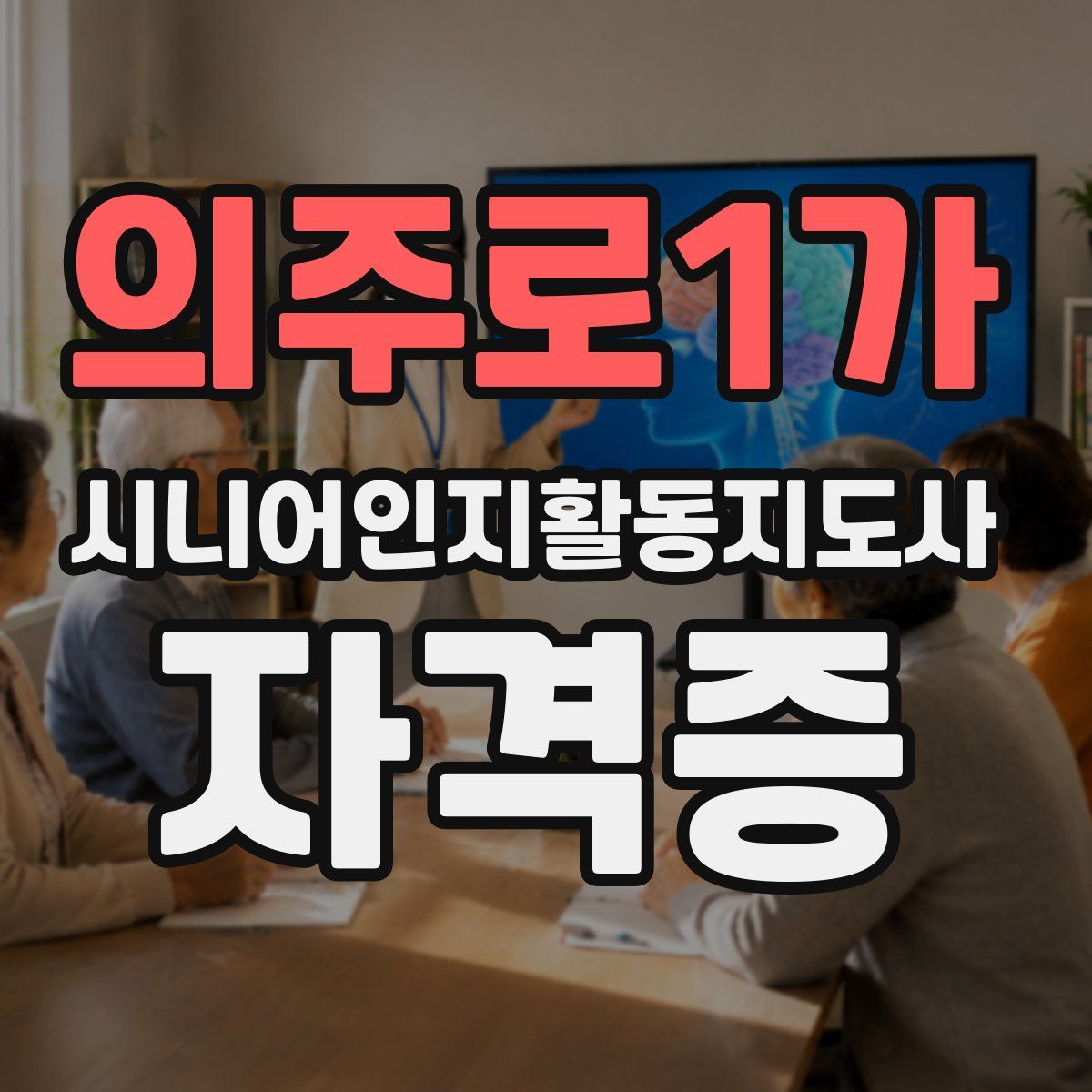 의주로1가 시니어인지활동지도사 자격증