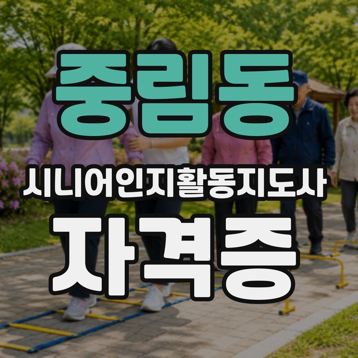 중림동 시니어인지활동지도사 자격증