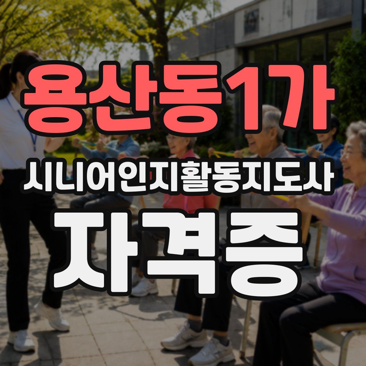 용산동1가 시니어인지활동지도사 자격증