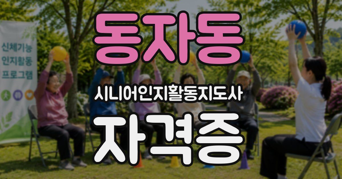 동자동 시니어인지활동지도사 자격증