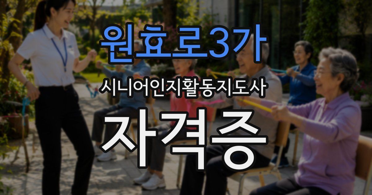 원효로3가 시니어인지활동지도사 자격증