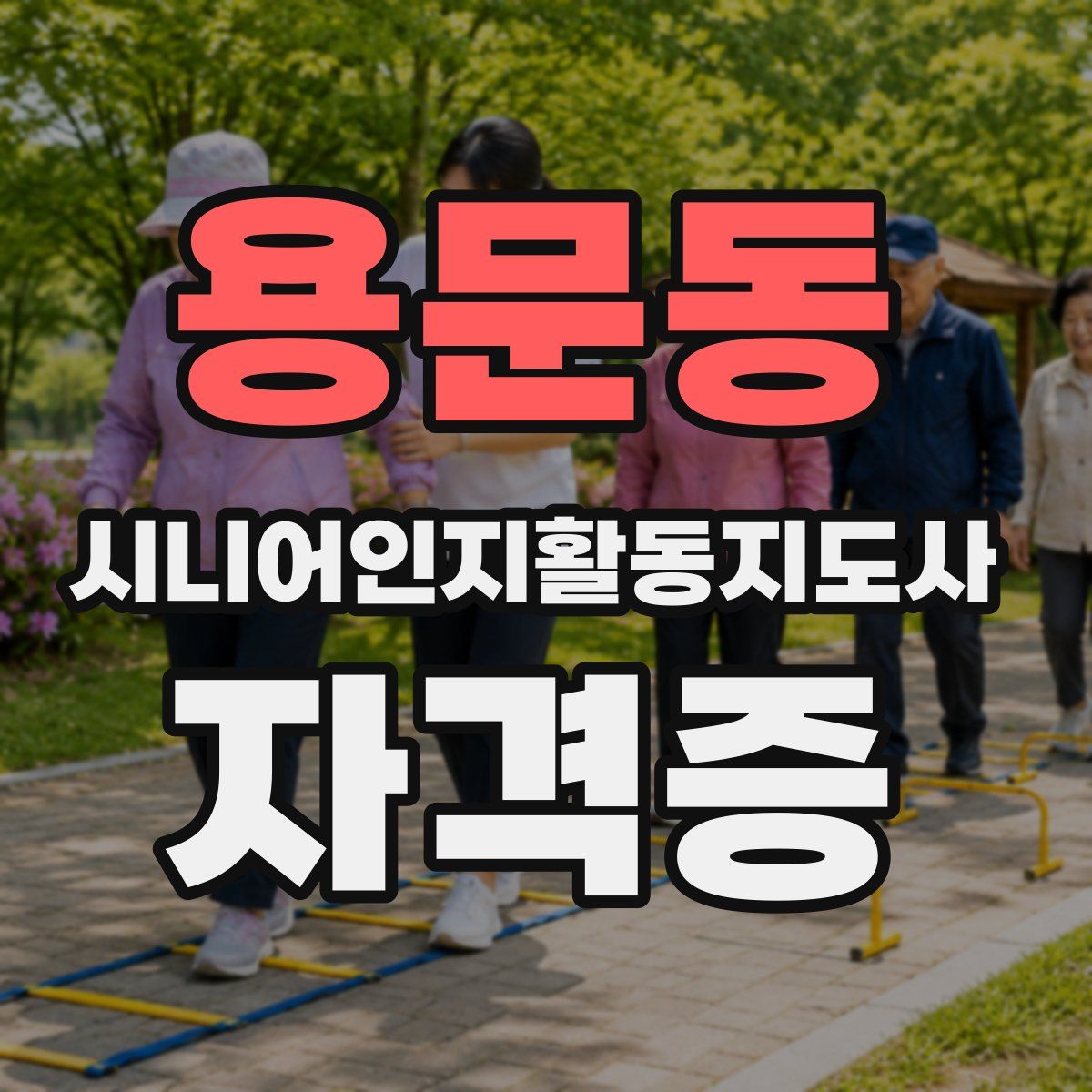 용문동 시니어인지활동지도사 자격증