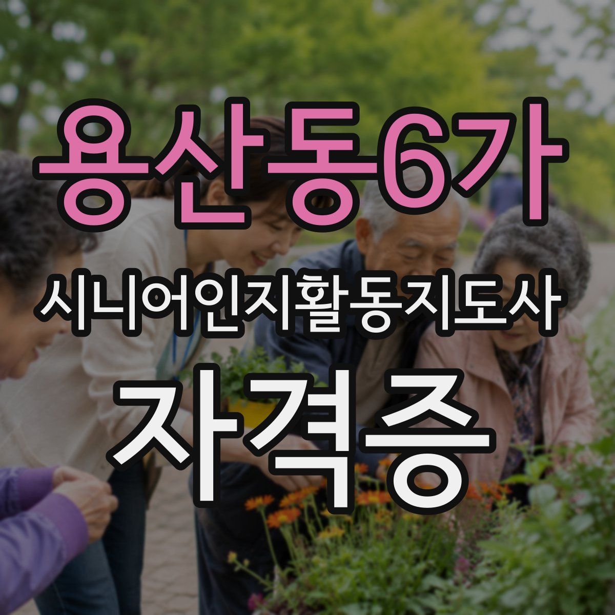 용산동6가 시니어인지활동지도사 자격증