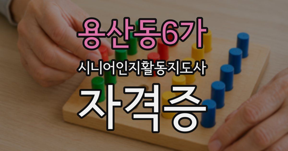 용산동6가 시니어인지활동지도사 자격증