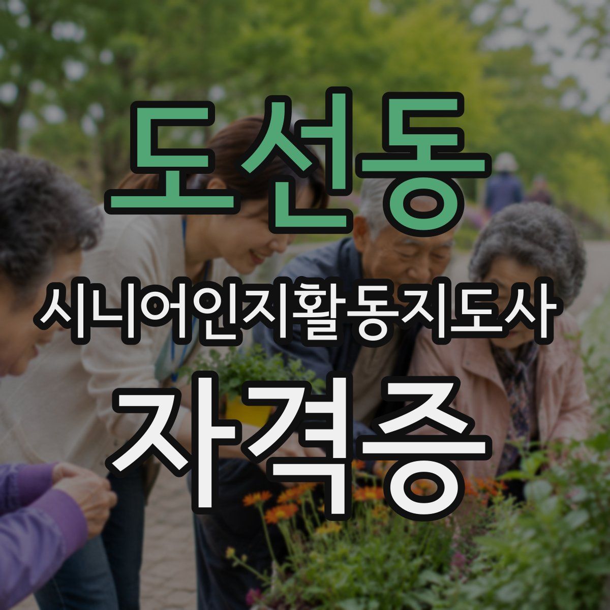 도선동 시니어인지활동지도사 자격증
