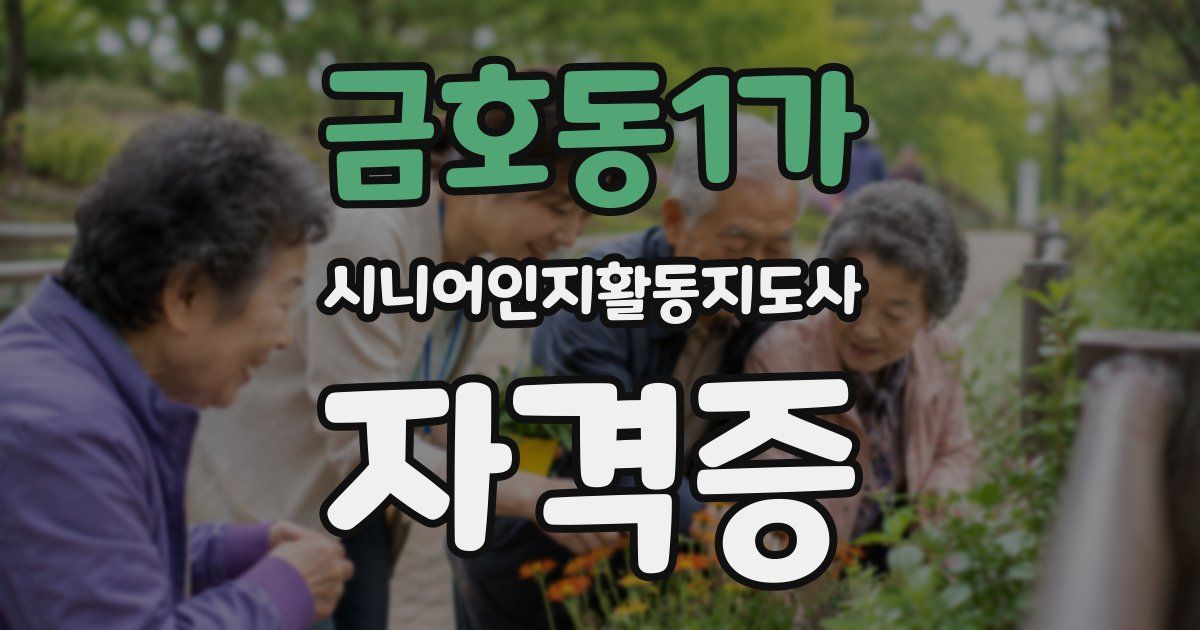 금호동1가 시니어인지활동지도사 자격증