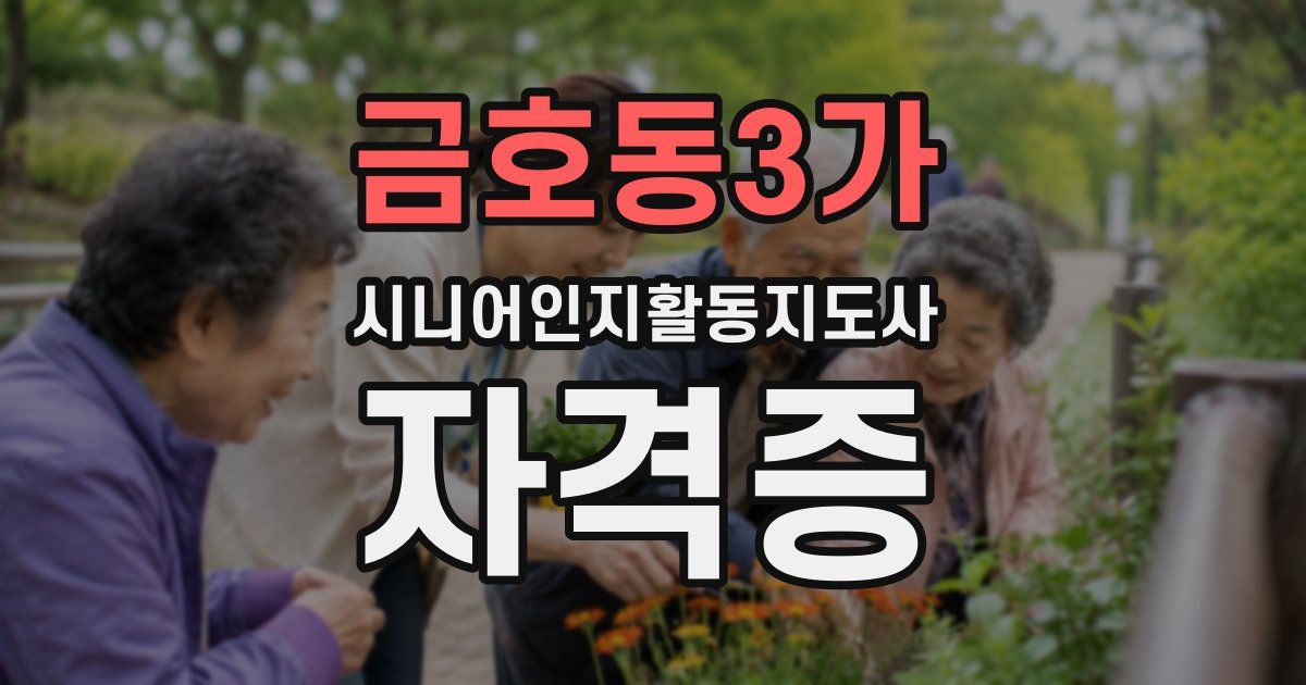 금호동3가 시니어인지활동지도사 자격증