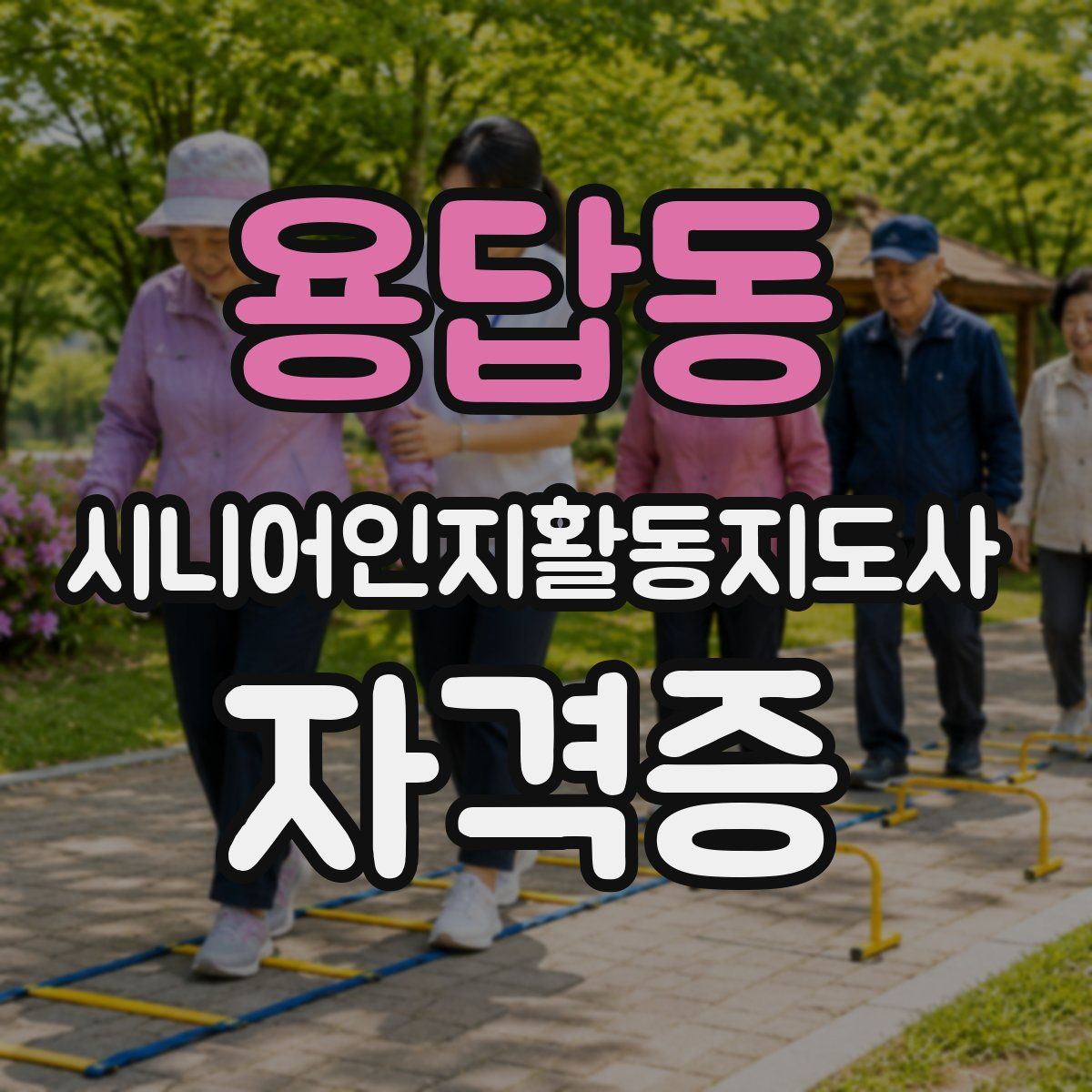 용답동 시니어인지활동지도사 자격증