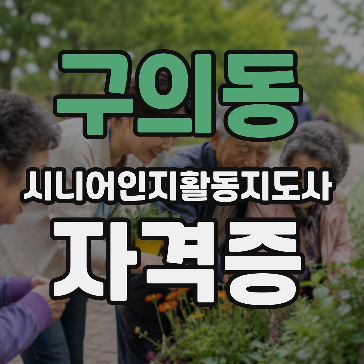 구의동 시니어인지활동지도사 자격증