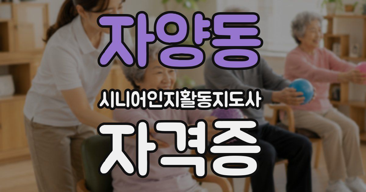 자양동 시니어인지활동지도사 자격증