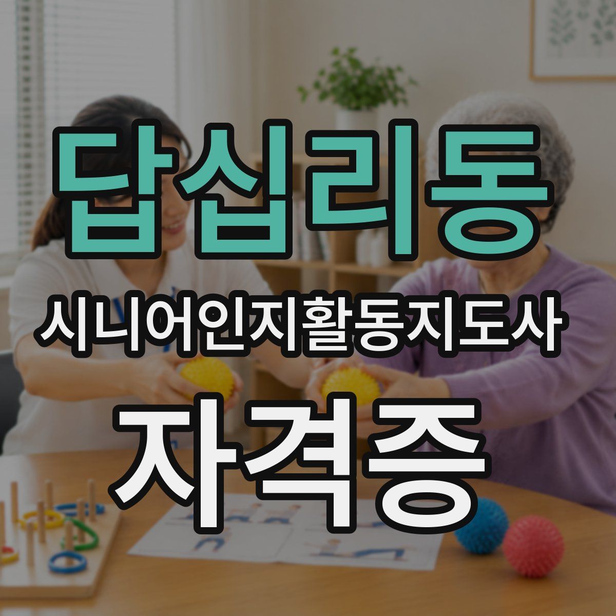 답십리동 시니어인지활동지도사 자격증