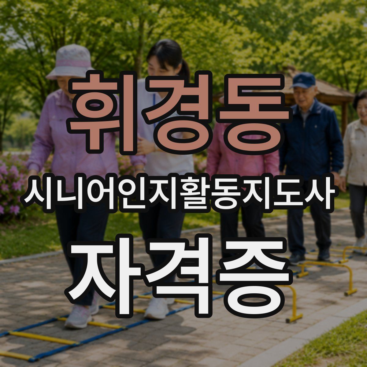 휘경동 시니어인지활동지도사 자격증