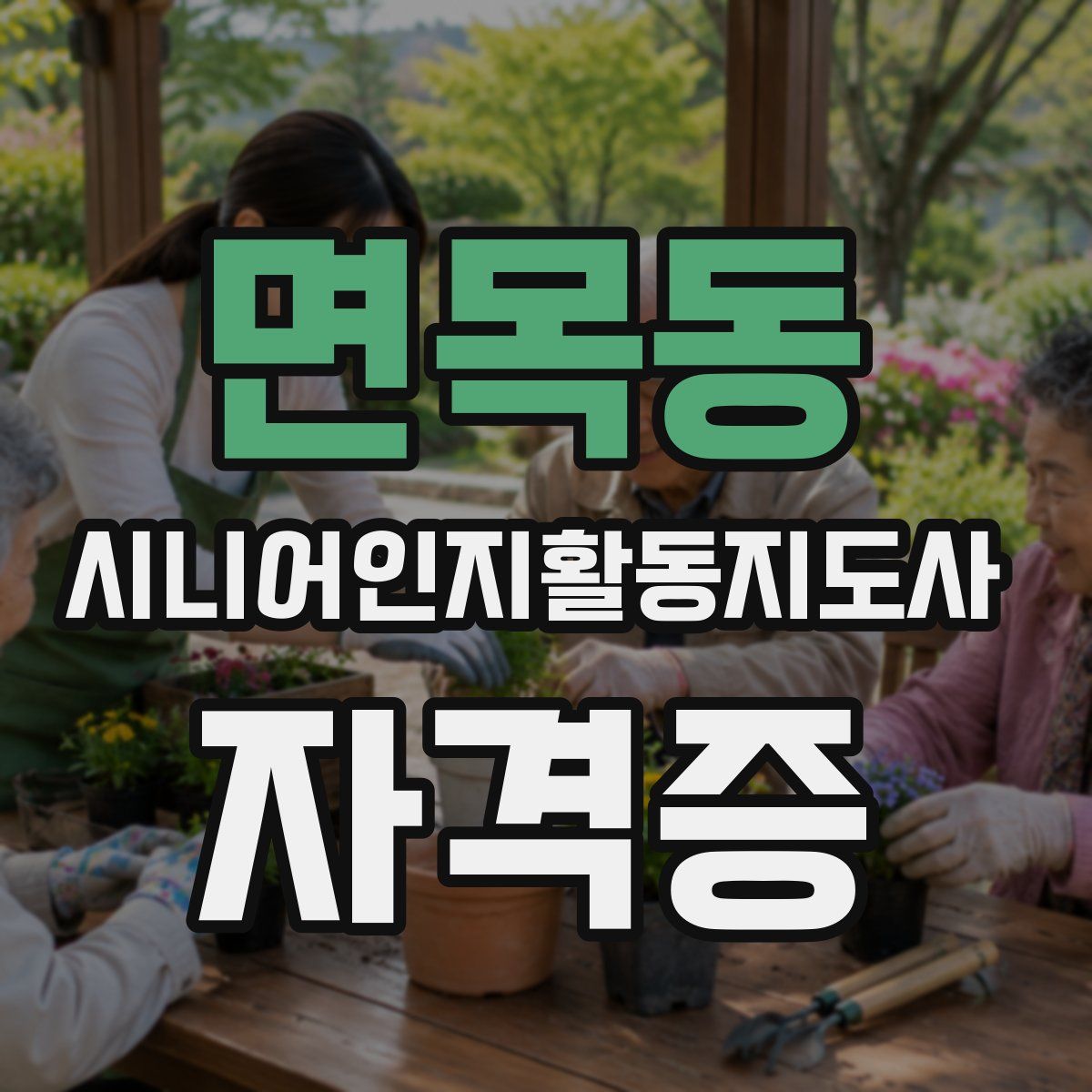 면목동 시니어인지활동지도사 자격증