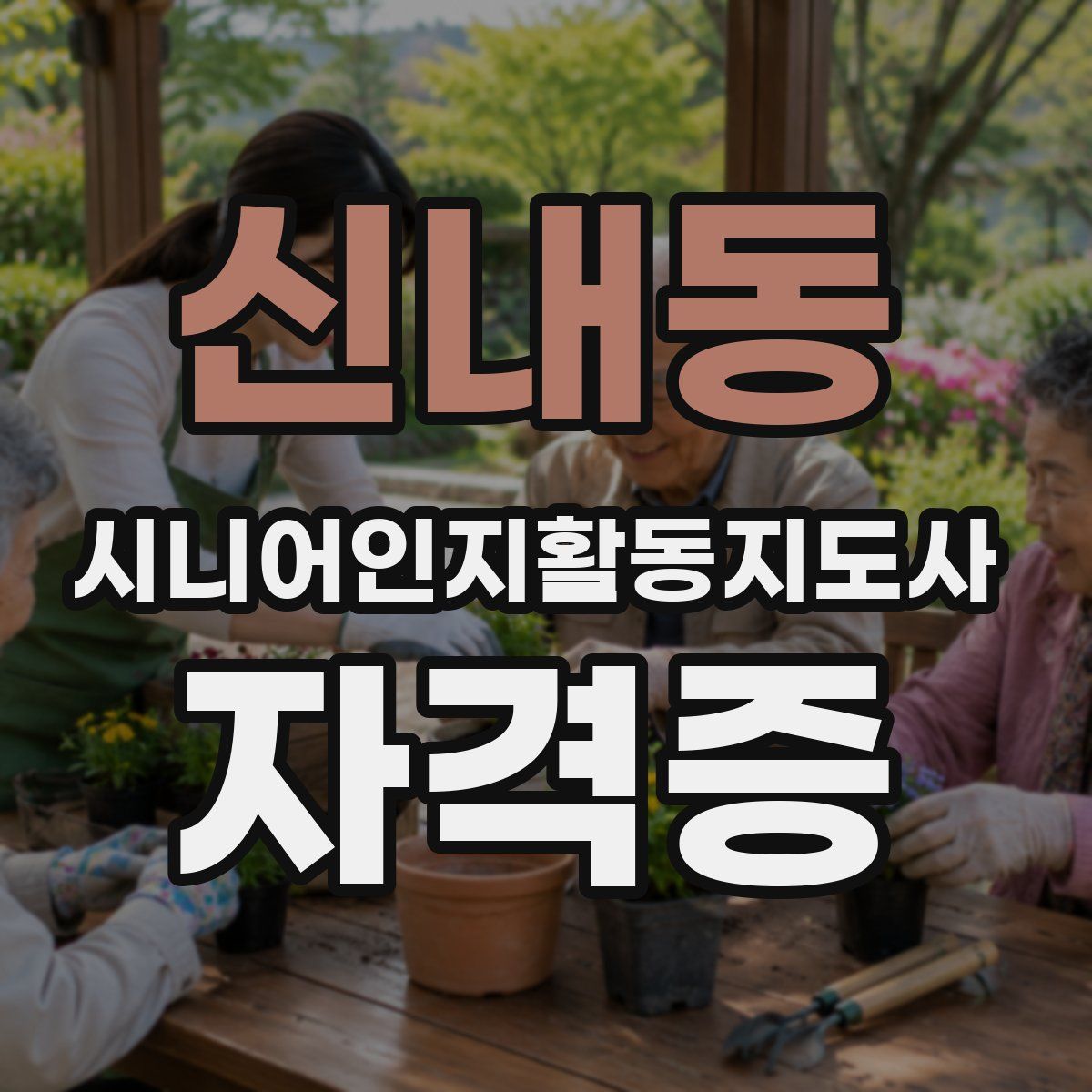 신내동 시니어인지활동지도사 자격증