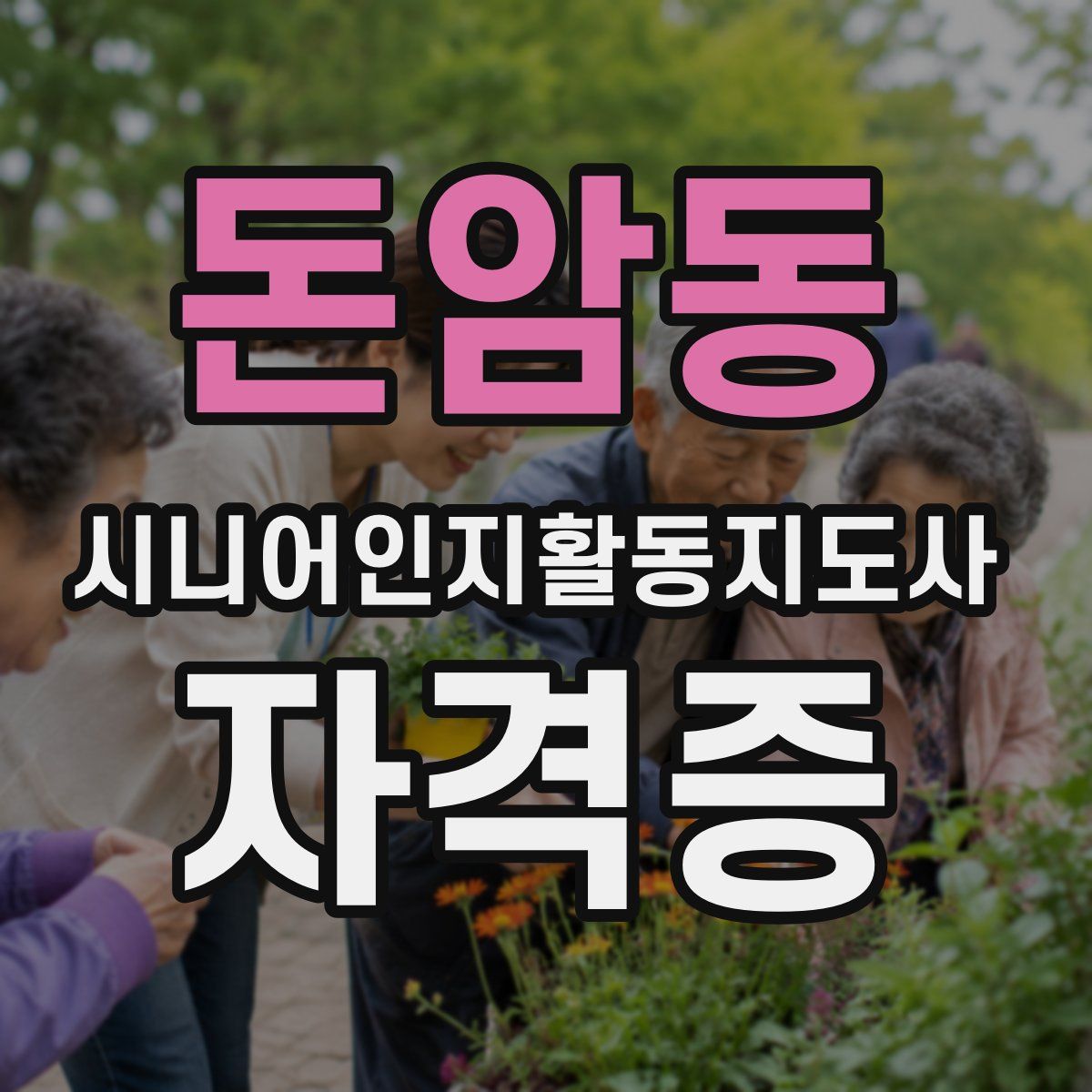 돈암동 시니어인지활동지도사 자격증