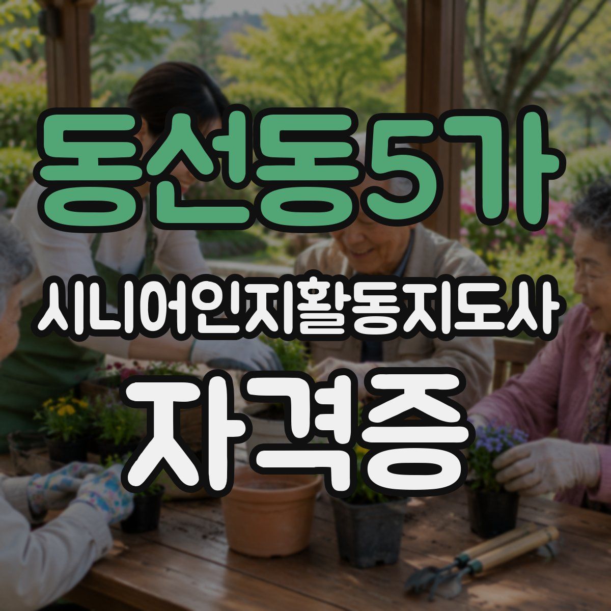 동선동5가 시니어인지활동지도사 자격증